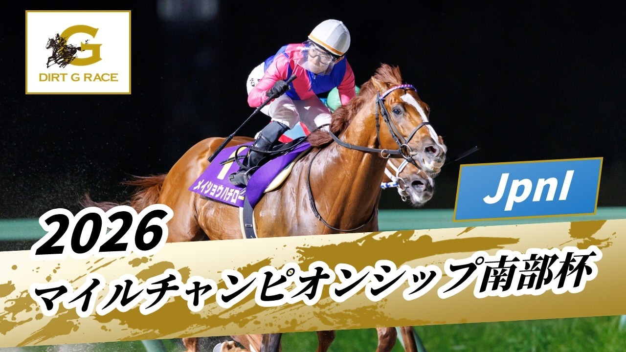 マイル チャンピオン シップ 南部 杯