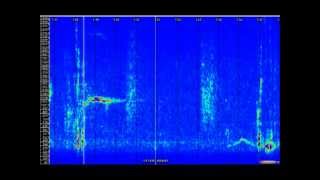 ICM1.mpeg