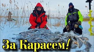 Бешеный клев здоровых Карасей Клюет на все удочки