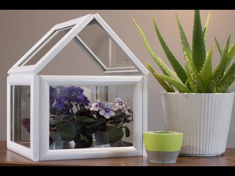 DekoGewächshaus selber basteln DIY Academy YouTube