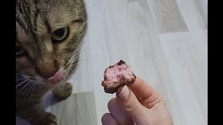 Made Strawberry Bounty Balls With My Cat