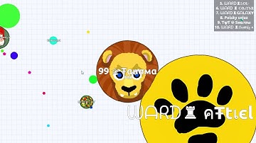 Agar.io Splitrun