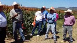 20141015 133455