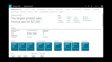Dynamics 365 Business Central: The External Accountant
