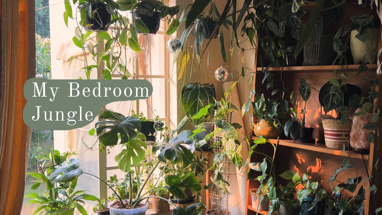 Cozy Indoor Bedroom Jungle Tour 🌱☁️| Full Indoor Plant Collection