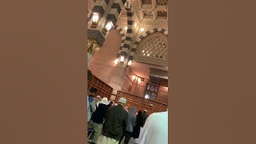 #حالة_واتس تحبير بديع لخواتيم سورة القيامة للشيخ #أحمد_طالب من #صلاة_الفجر في #المسجد_النبوي