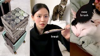 Used 1 million won only..💳 December GDPP Cat Festa Review vlog