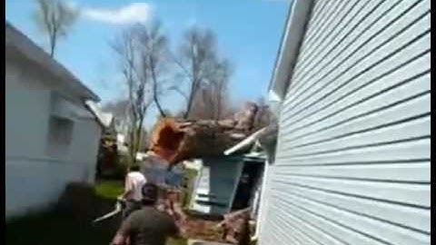 Tree cutting fails and idiots with chainsaws. FAIL COMPILATION. Part 3