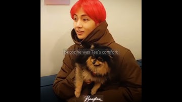 🖇️🧸🖇️𝙈𝙞𝙨𝙨 𝙮𝙤𝙪 𝙩𝙖𝙣𝙣𝙞𝙚😭~@Bangtan-min7 #bts #btsedits #btsarmy #tamilsongedit