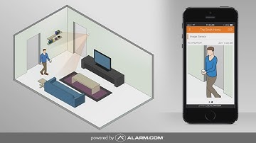 Interactive Security Systems