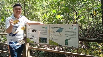 CSC413 VIDEO ASSIGNMENT