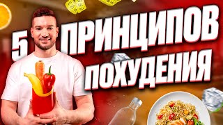 5 принципов похудения