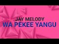 Jay Melody - Wa Pekee Yangu (Lyrics Video)