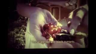 "Got it Bad" by Leisure Mini music video