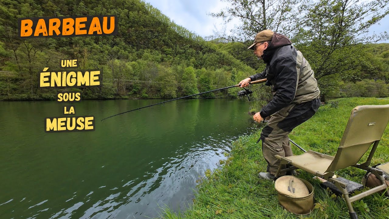 Avec la fraie, ce bief de Meuse est-il déserté par le barbeau ?