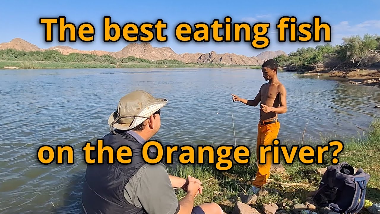 Glen Tieties ranks the best eating fish on the Orange river, die beste ...