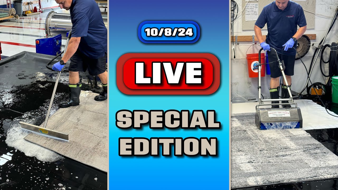 Small Rug EXTRAVAGANZA | LIVE Cleaning SPECIAL EDITION