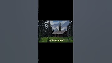 اكتب شي تؤجر عليه 🩷 (سورة غافر: 39) #الرحمن #fypシ