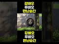 [PandaTV] 강바오 푸바오 만난 순간 #푸바오#러바오#아이바오 출처 : 전지적할부지시점