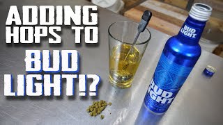 Make Cheap Beer Better - Direct Hopping - P2 - Adding Hops to Bud Light
