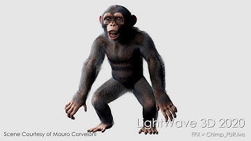LightWave 3D 2020: Chimp Fur scene rendered