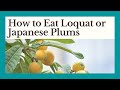How to Eat Loquat, or Japanese Plums in Turkey