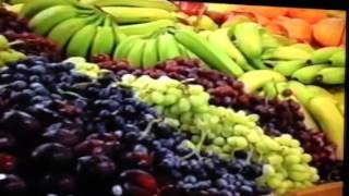 Thies Farm Commercial 1991