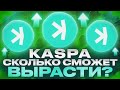 KASPA: РАЗБОР ПРОЕКТА  и прогноз курса KAS