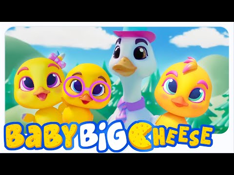 Baby Big Cheese - เป็ดน้อยห้าตัว + เพิ่มเติม เพลงนับและวิดีโอการเรียนรู้สำหรับเด็ก