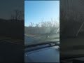 Дикий леопард попал на видео на автодороге в Приморье