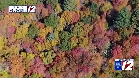 Expert shares where to see fall foliage in Rhode Island this year