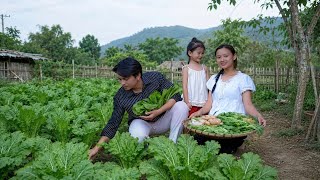 Small Family - Making cakes from vegetables ( Cat cabbage ) - James and Diep
