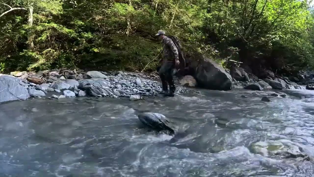 Nature Therapy ASMR 🌿 Relax Brain Deeply | Deep Sleep, Stress Relief & Natural Sounds (No Talking)