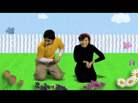 Videó: Iskolakorú kerttéma – Kertek létrehozása iskolás korú gyermekek számára