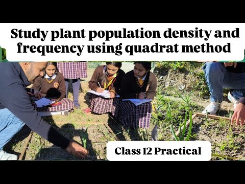 Study plant population density and frequency using quadrat method # ...