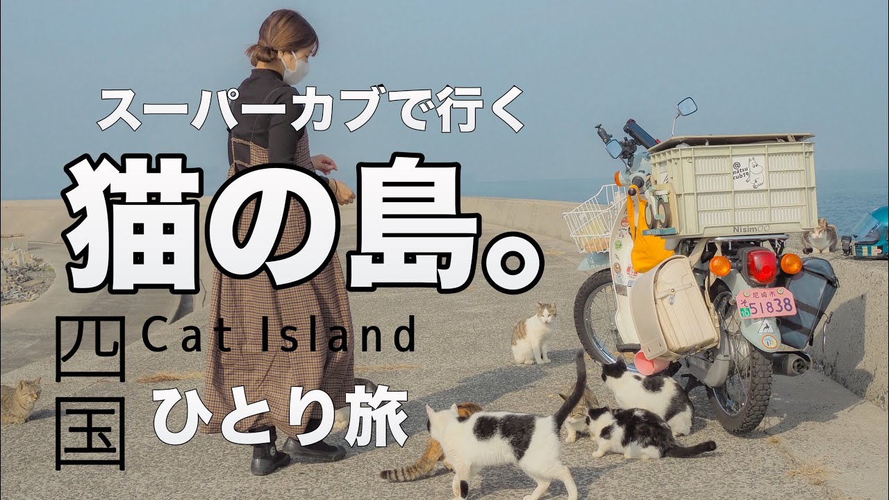 上陸した瞬間、猫に囲まれる島へスーパーカブで行く。【佐柳島高見島】バイク女子
