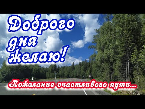 Доброго дня желаю! ❤️Пожелание счастливого пути...❤️ Пусть ангел-хранитель оберегает тебя❤️