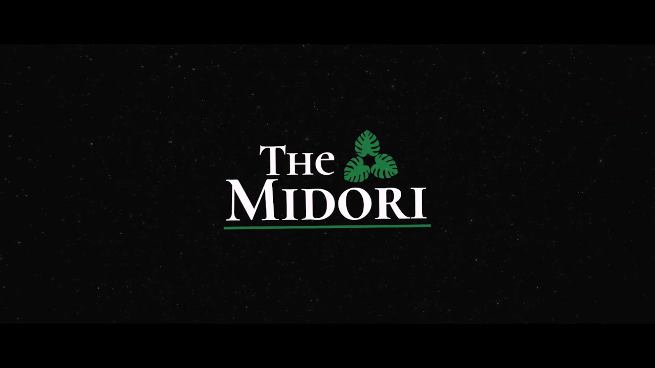 Introducing 'The Midori by Lakeshore' YouTube