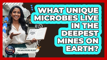 What Unique Microbes Live In The Deepest Mines On Earth? - Epic World Record Holders