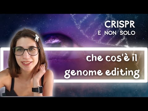 Video: Quando sono state scoperte le nucleasi a dito di zinco?