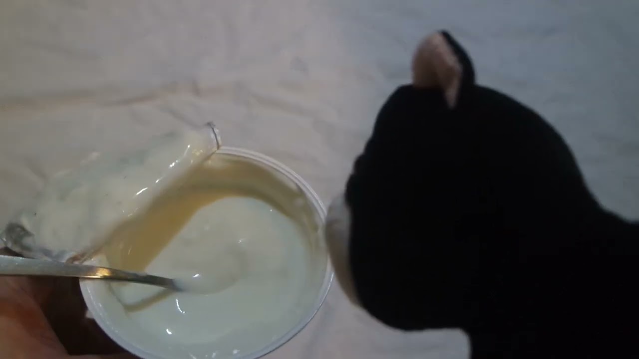 Gutes Land ButtermilchDessert Birne Vanille,unbox n eat - YouTube