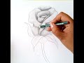 Dibujos a Lápiz / Cómo Dibujar una Rosa