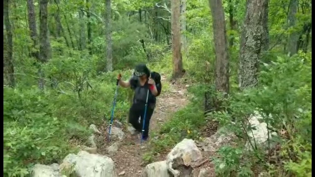 Approaching the Peaks of Otter Overlook