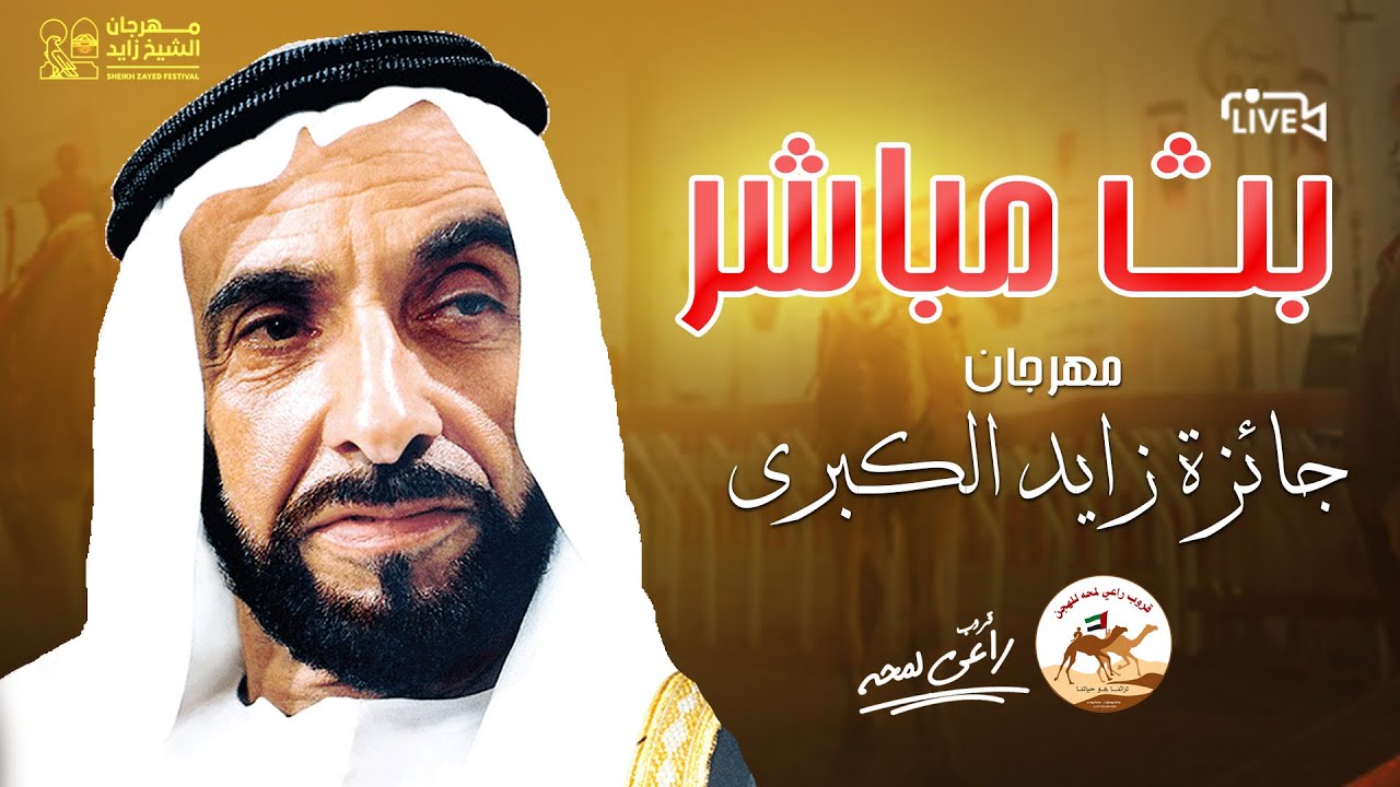 تشاهدون منافسات سن الحول والزمول في مهرجان جائزة زايد الكبرى 2024 الفترة المسائية