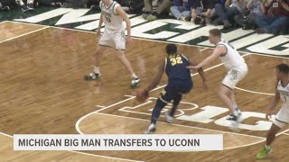 Former Michigan big man Tarris Reed, Jr. transfers to UConn