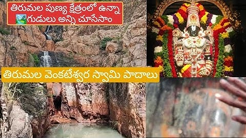 తిరుమల⛰️వేంకటేశ్వర స్వామి పాదాలు, కఫిలా తీర్థం,చక్ర తీర్థం, ఆకాశగంగా అన్ని చూసాము🏞️🙏|| Tirumala vlog