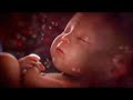 ♥ 2 Hours of White Noise for Sleeping Baby 👶 Intrauterine Sound with Quiet Heartbeat