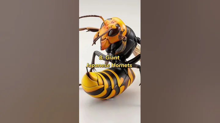 Deadliest Insects In The World 🐝🪳/#shorts /#insects /#viral
