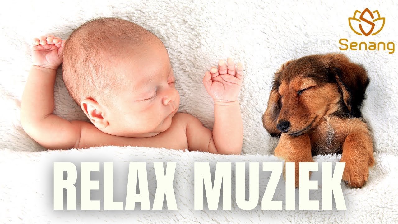 Muziek Om In Te Slapen