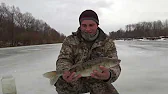 Serginio Fishing TV - рибальський канал